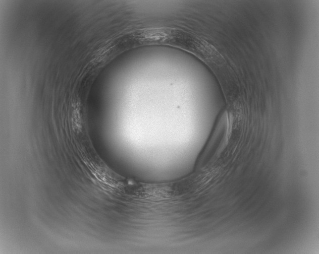 X0000052611394200507081834