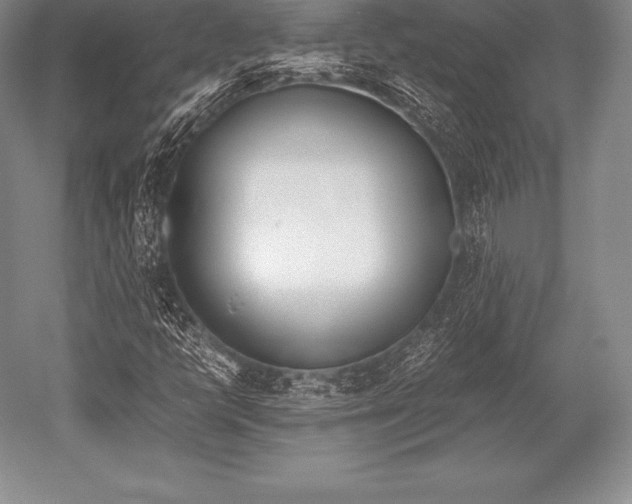 X0000052611398200507081834