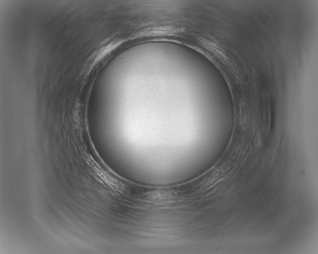 X0000052611404200507081834