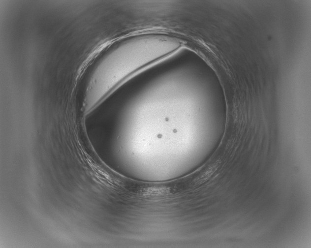 X0000052611406200507081834