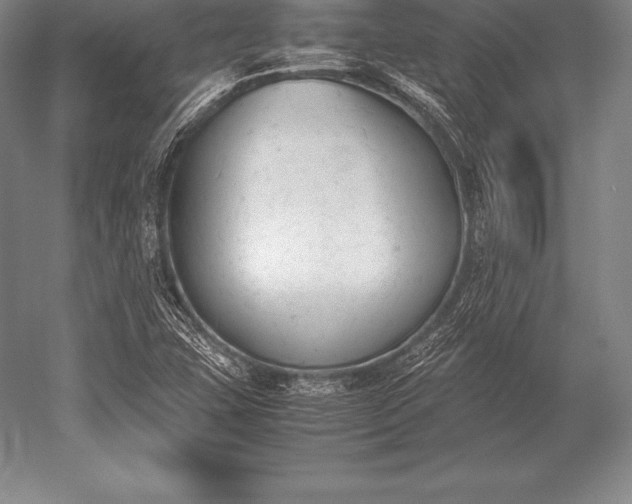 X0000052611407200507081834