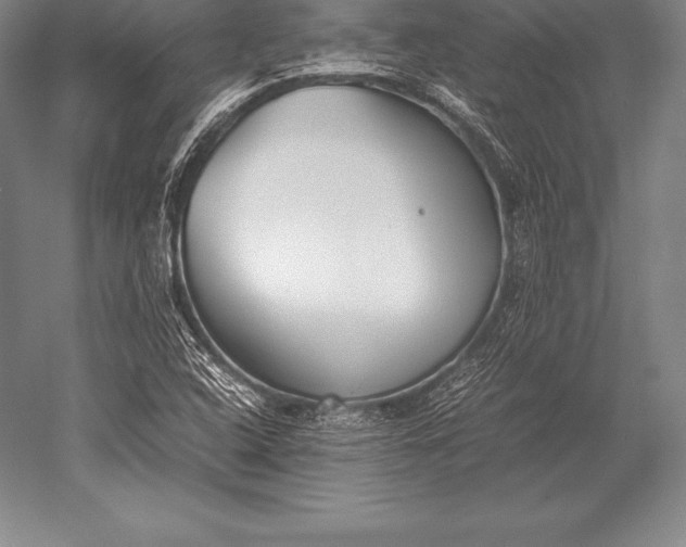 X0000052611408200507081834