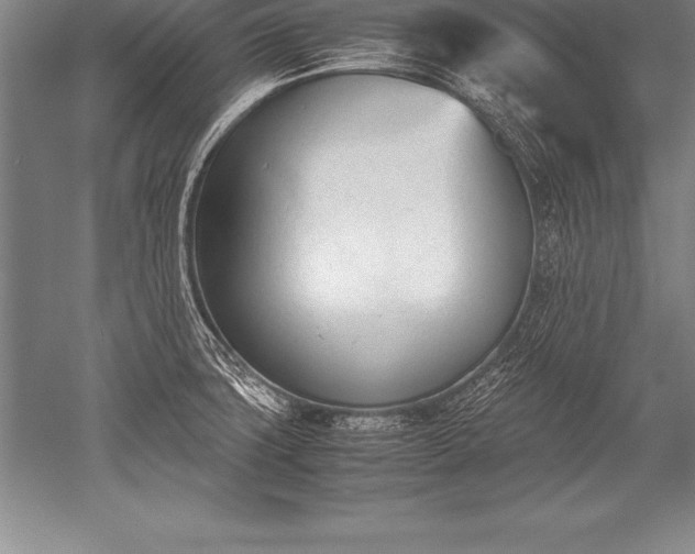 X0000052611427200507081835