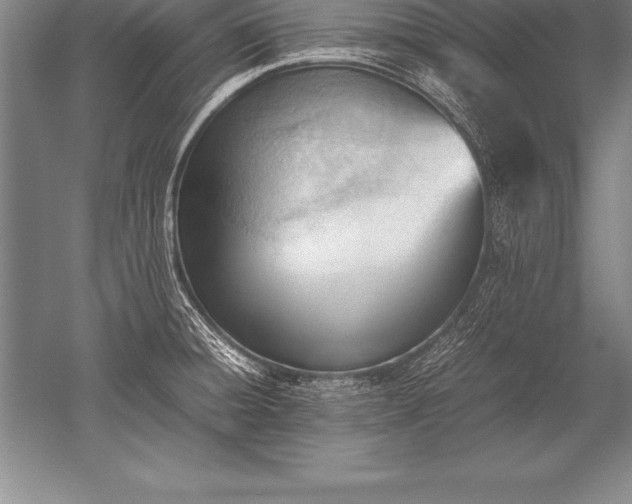 X0000052611428200507081835