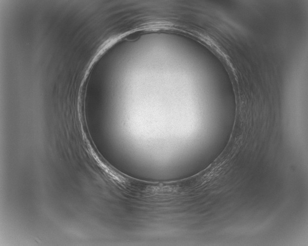 X0000052611429200507081835