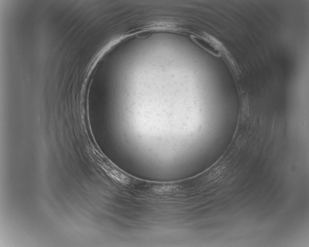 X0000052611435200507081835