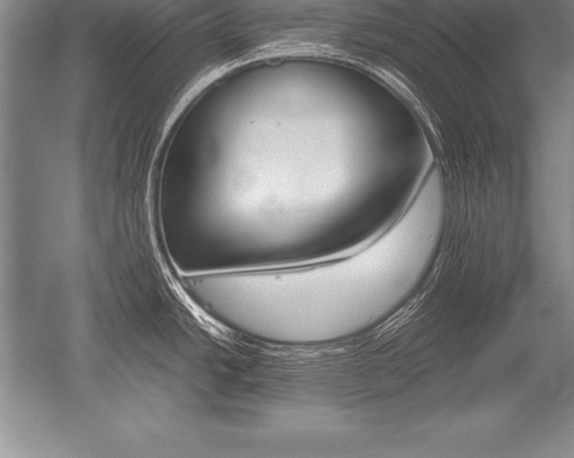 X0000052611438200507081835