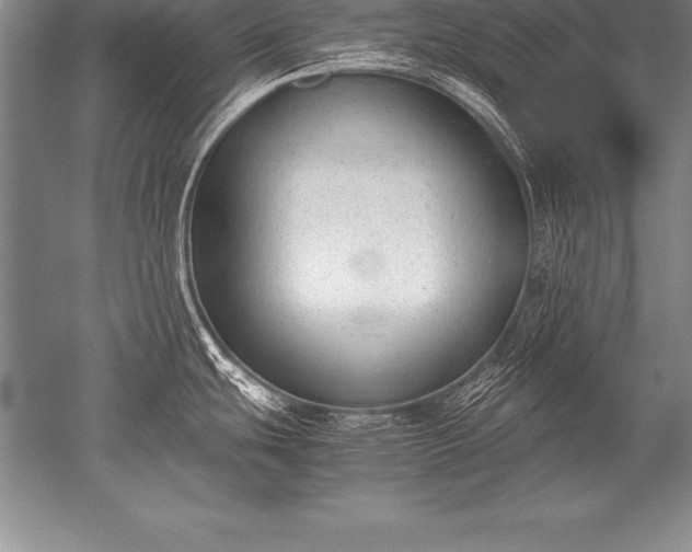 X0000052611439200507081835