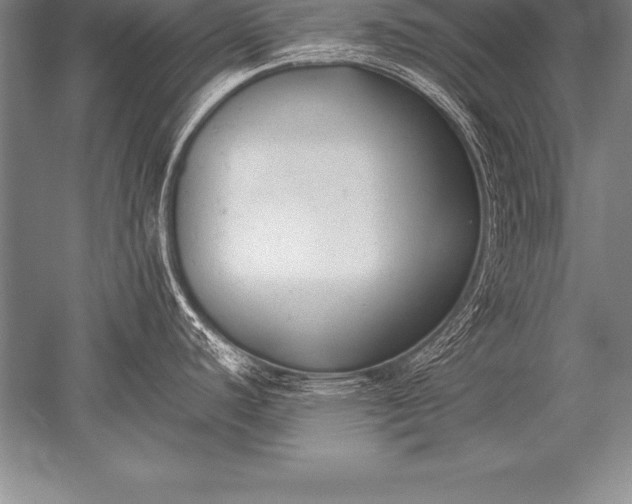 X0000052611440200507081835