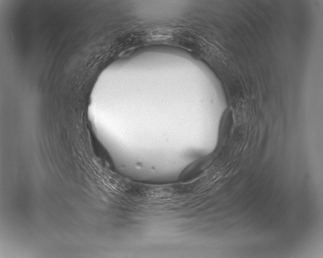 X0000052611441200507081834