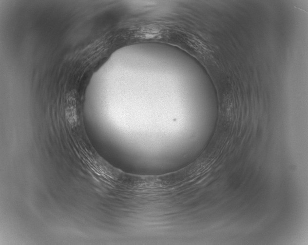 X0000052611442200507081834