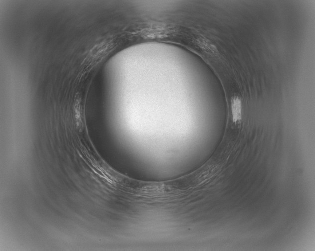 X0000052611444200507081834