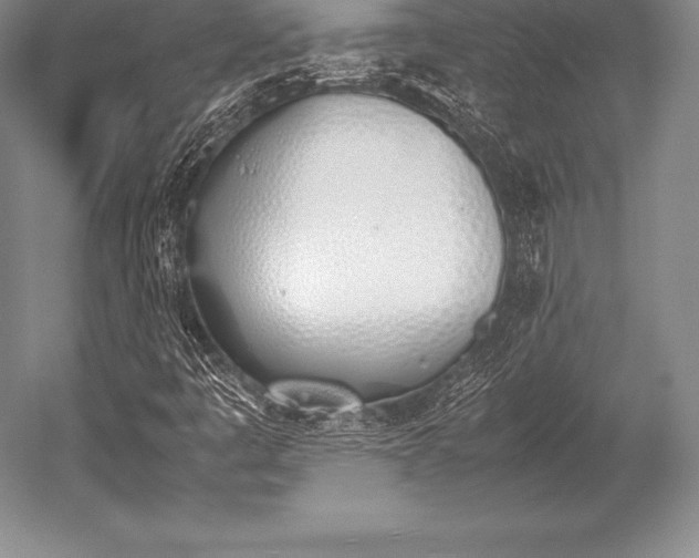 X0000052611445200507081834