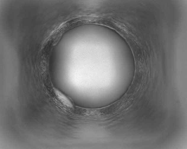 X0000052611447200507081834