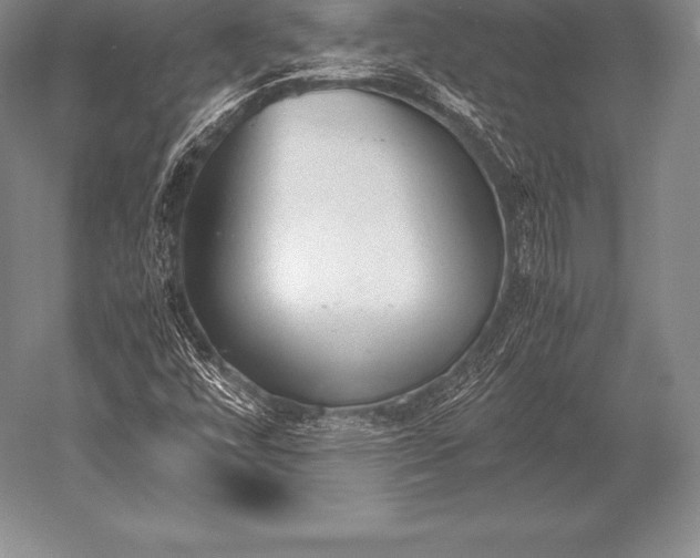 X0000052611448200507081834