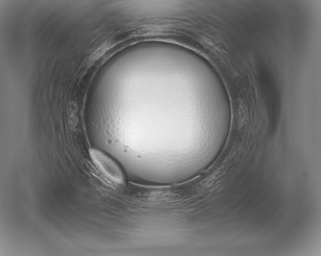 X0000052611449200507081834