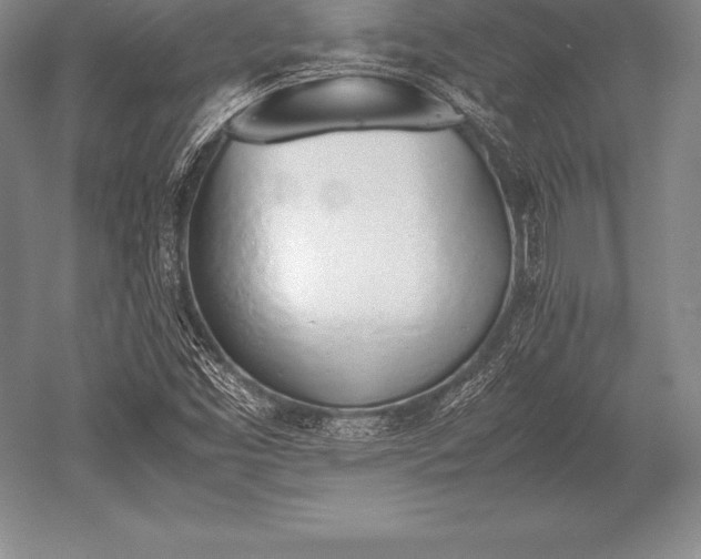 X0000052611453200507081834