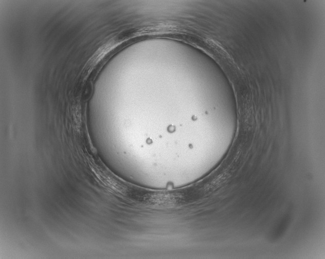 X0000052611457200507081834