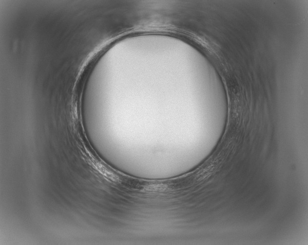 X0000052611462200507081834