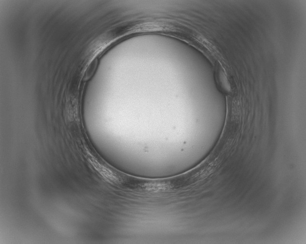 X0000052611465200507081834