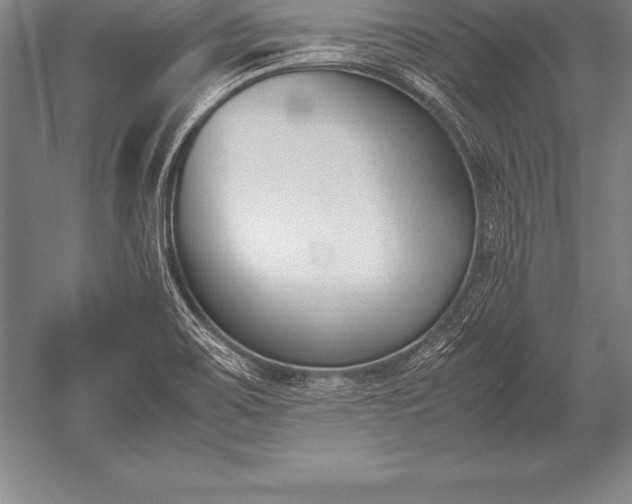 X0000052611467200507081834