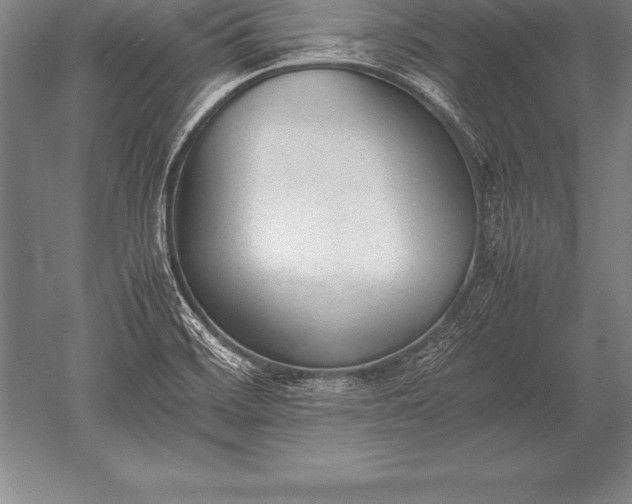 X0000052611468200507081834