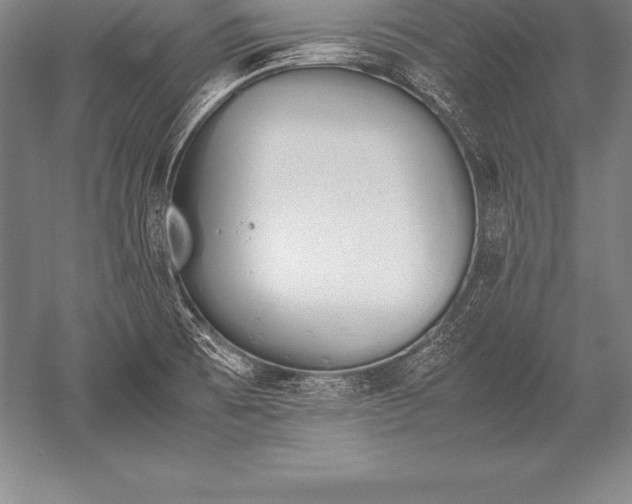 X0000052611473200507081833