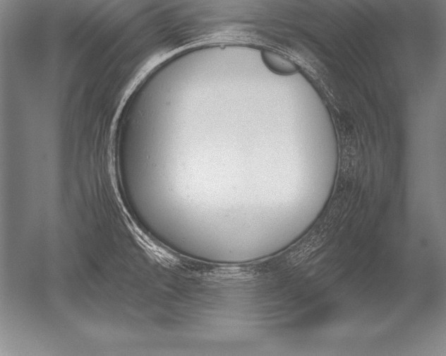 X0000052611478200507081833