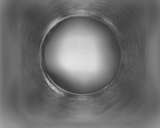 X0000052611479200507081833