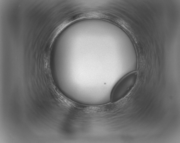 X0000052611481200507081833