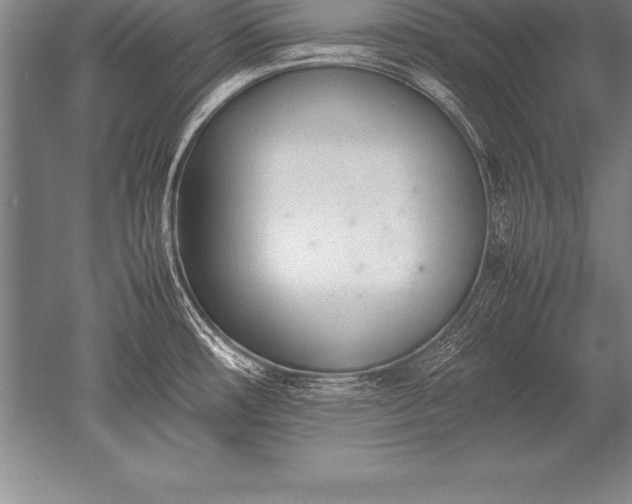 X0000052611482200507081833