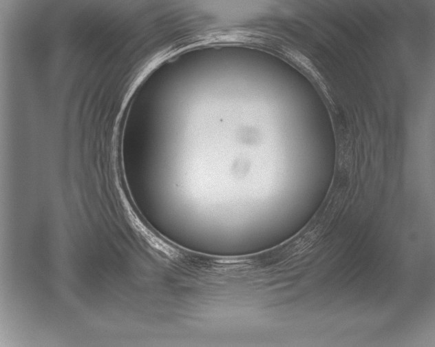 X0000052611483200507081833