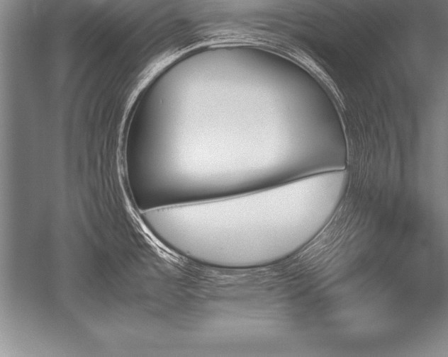 X0000052611485200507081833