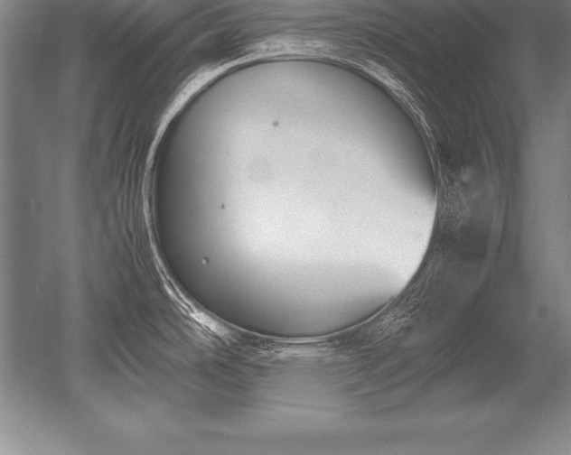 X0000052611486200507081833