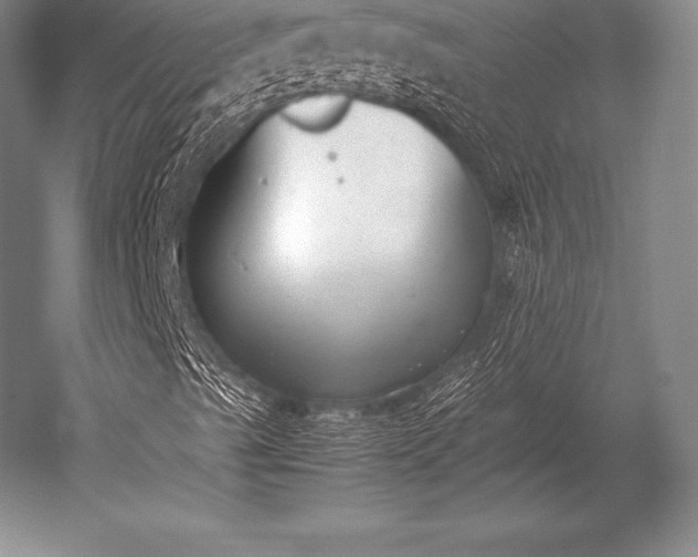 X0000052611489200507081832