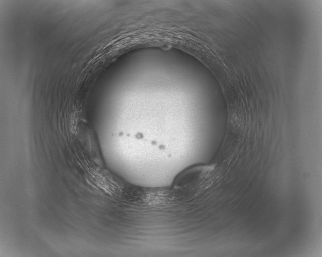 X0000052611490200507081832