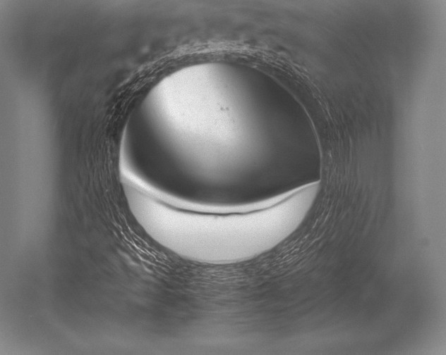 X0000052611493200507081832