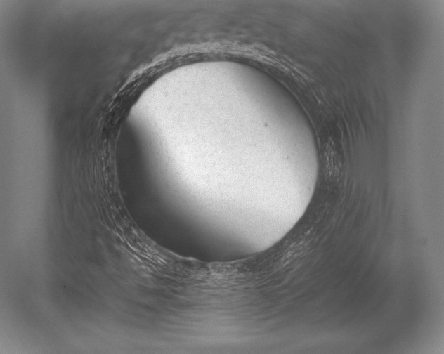 X0000052611494200507081832