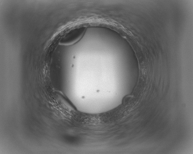 X0000052611495200507081832