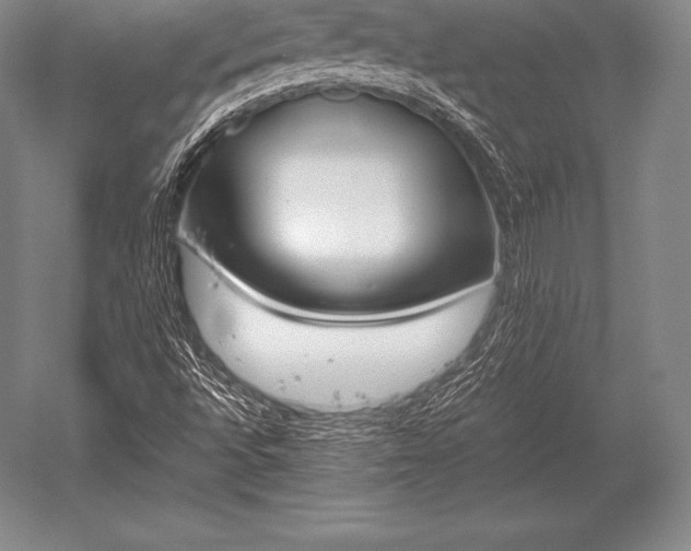 X0000052611496200507081832