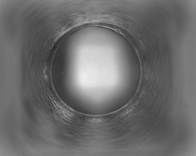 X0000052611497200507081833