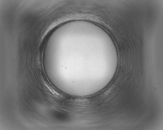 X0000052611498200507081833