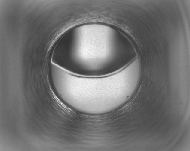 X0000052611500200507081833