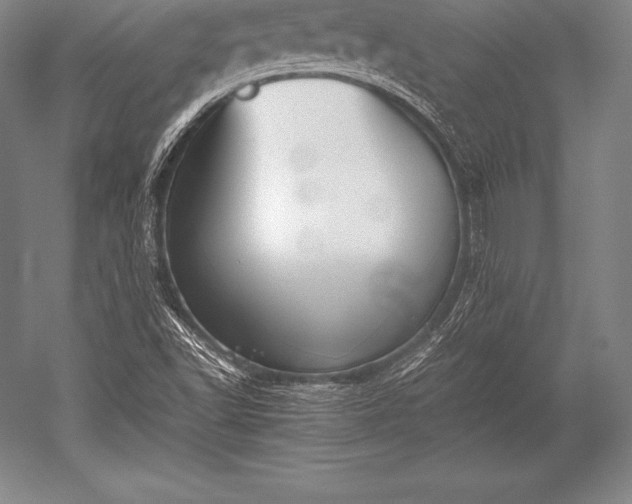 X0000052611502200507081833