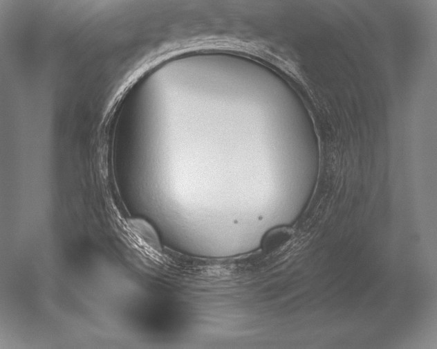 X0000052611504200507081833