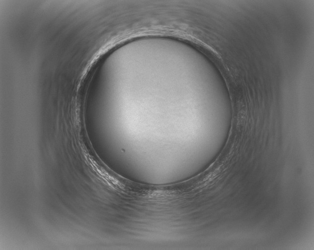 X0000052611506200507081833