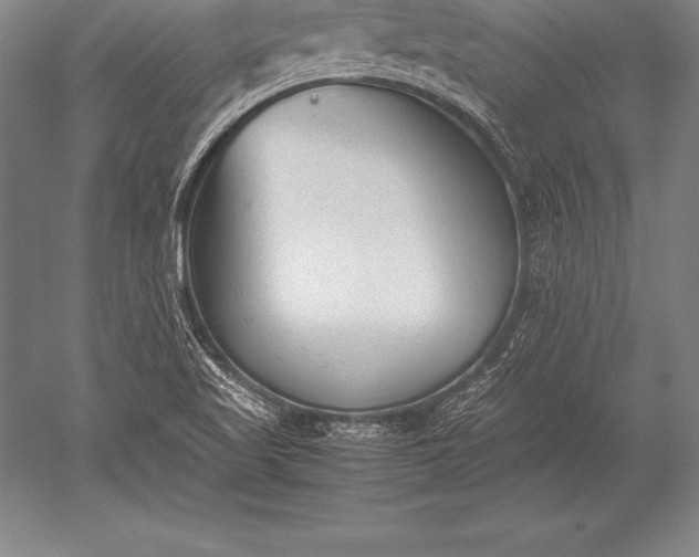 X0000052611509200507081833