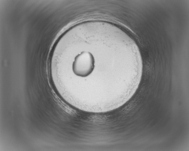 X0000052611514200507081833