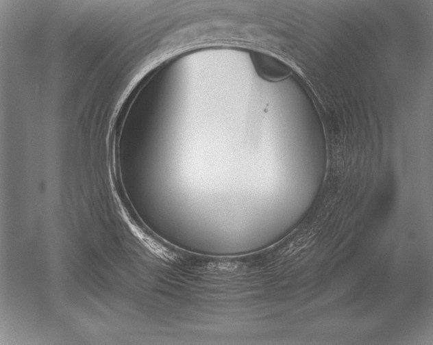 X0000052611515200507081833