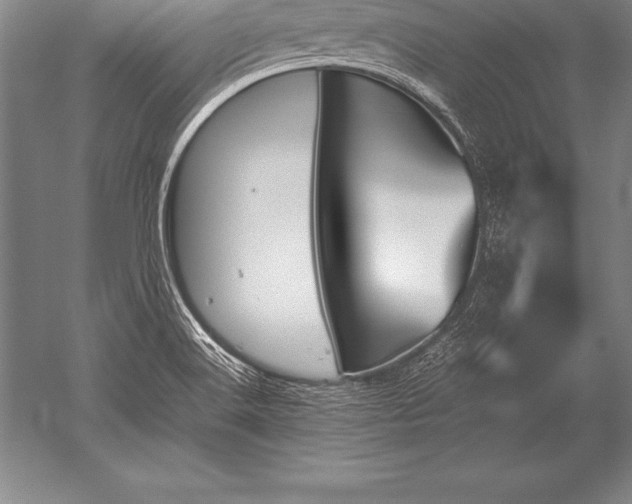 X0000052611516200507081833